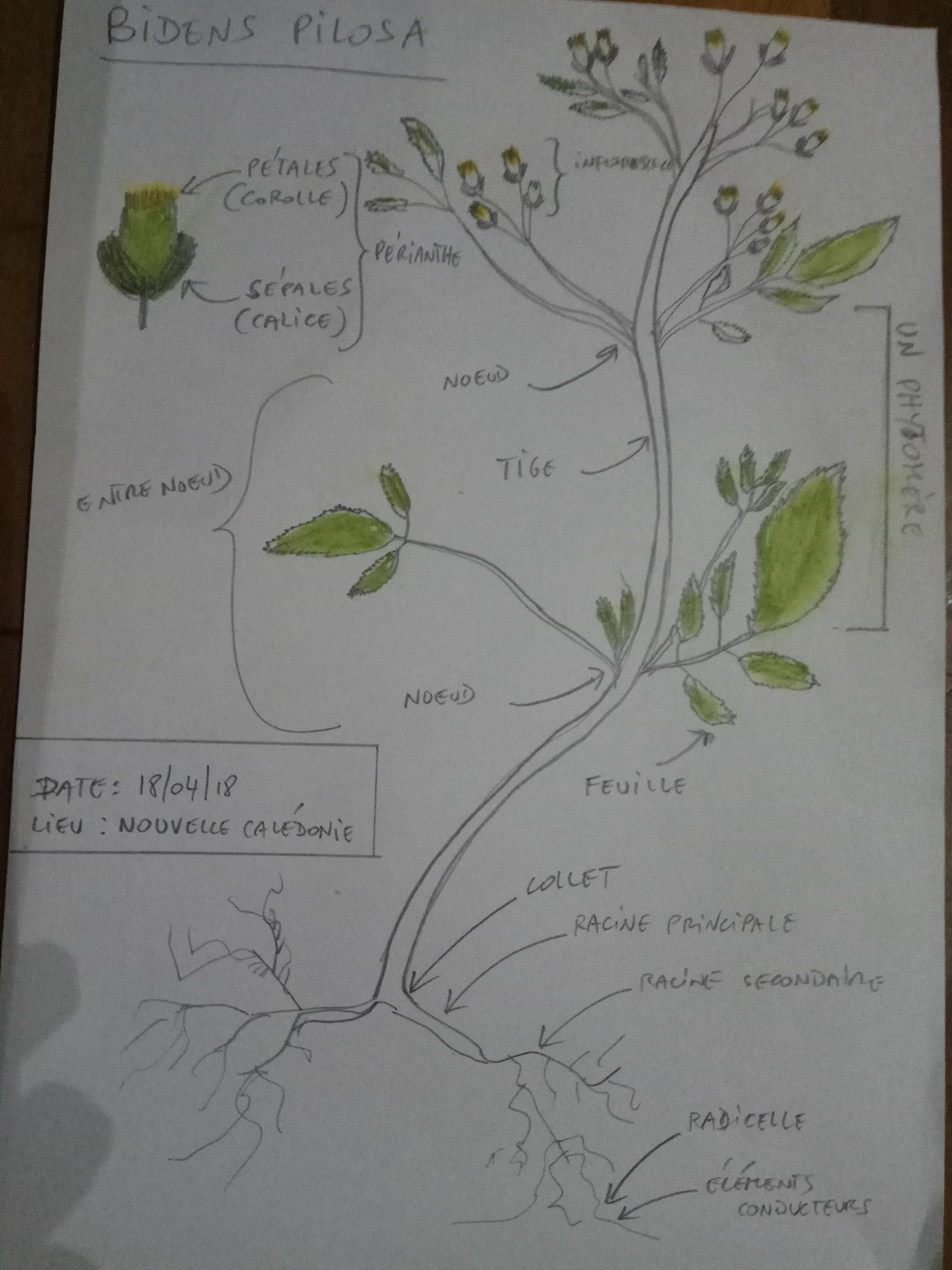 Annexe 30740989_580966802284586_7618132292057169920_n.jpg