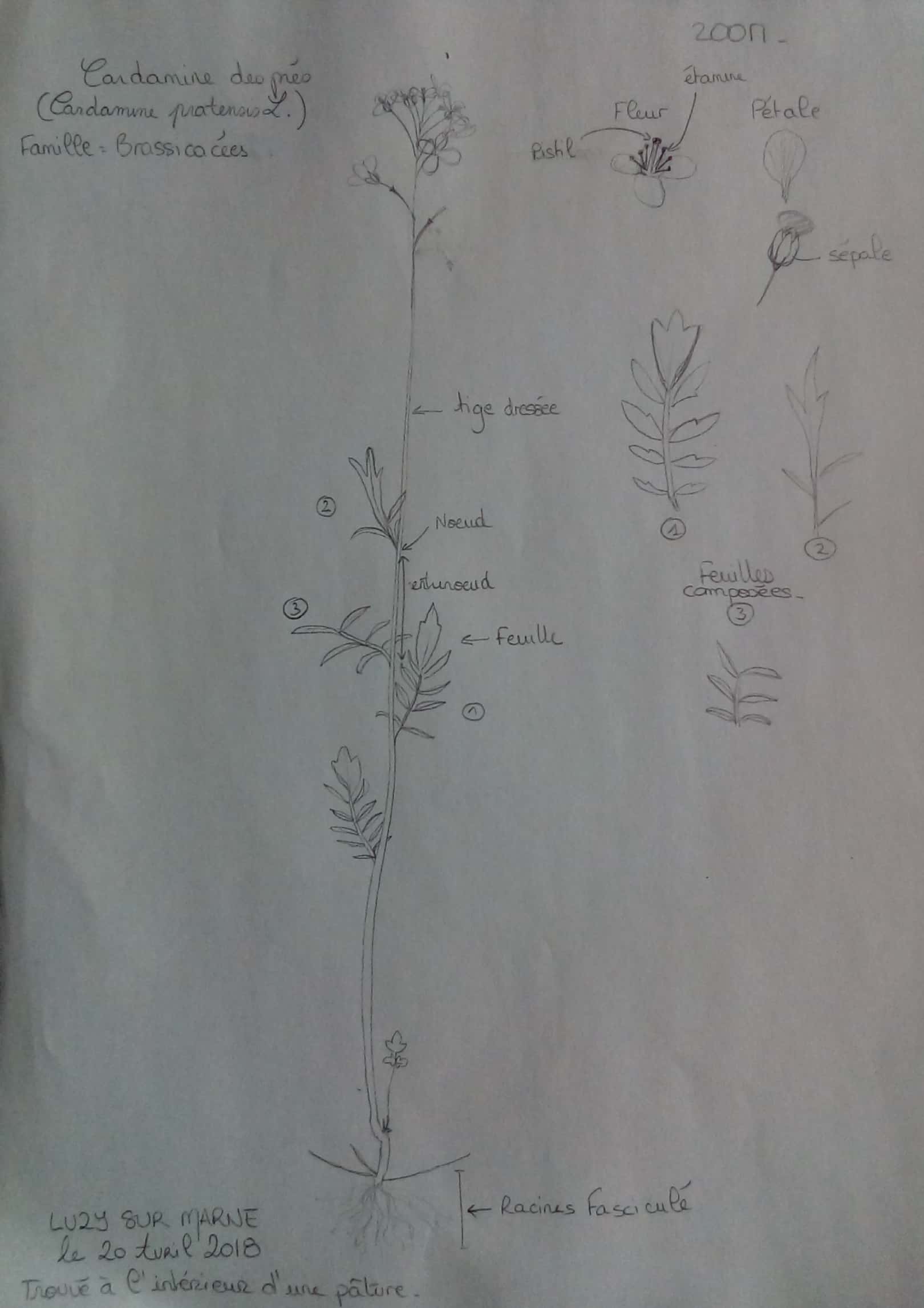 Annexe Nouveau document 2018-04-20_1.jpg