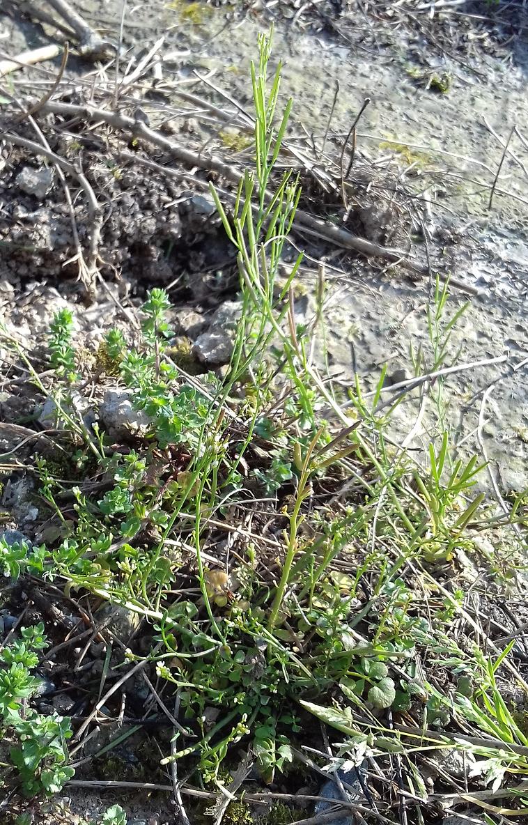 Annexe 20180421_175351b.jpg