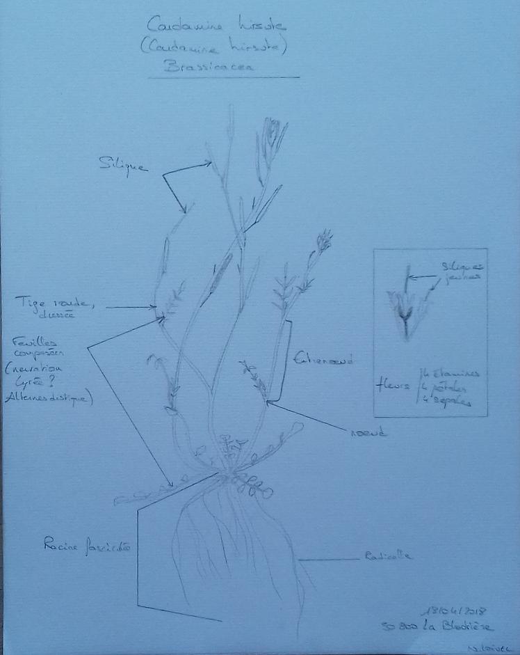 Annexe 20180421_182121b.jpg