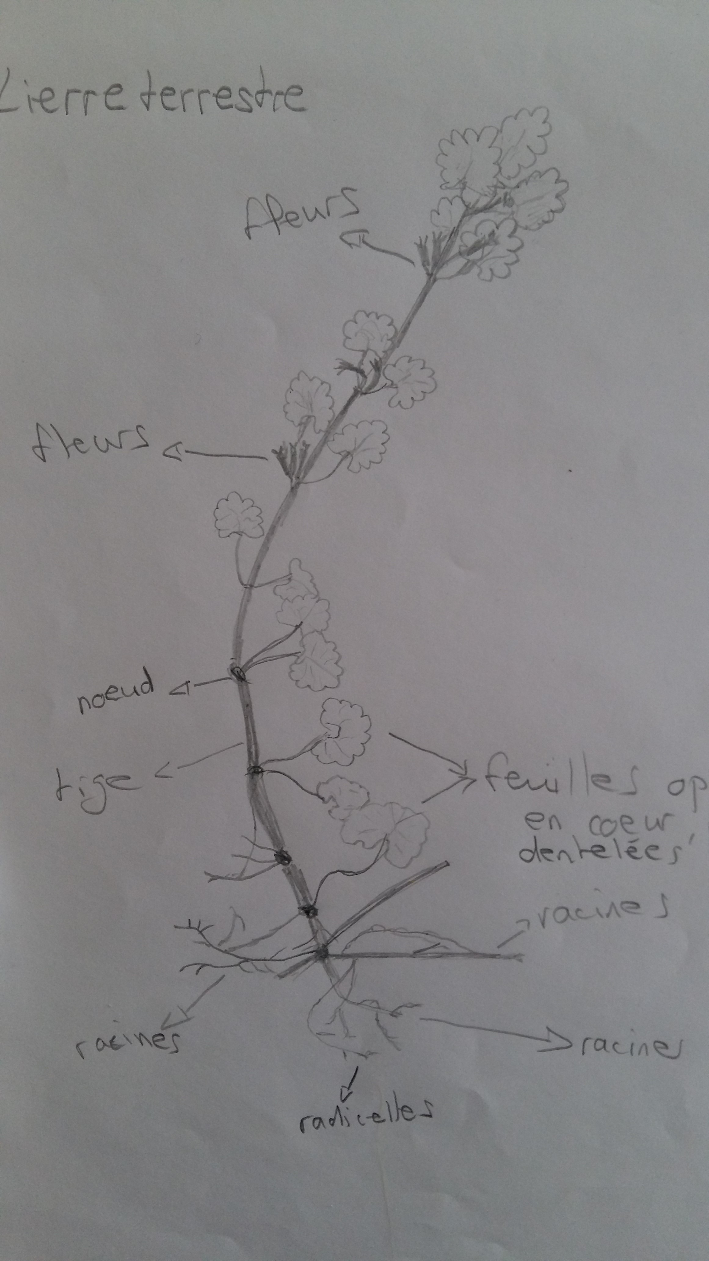 Annexe 20180422_121106.jpg