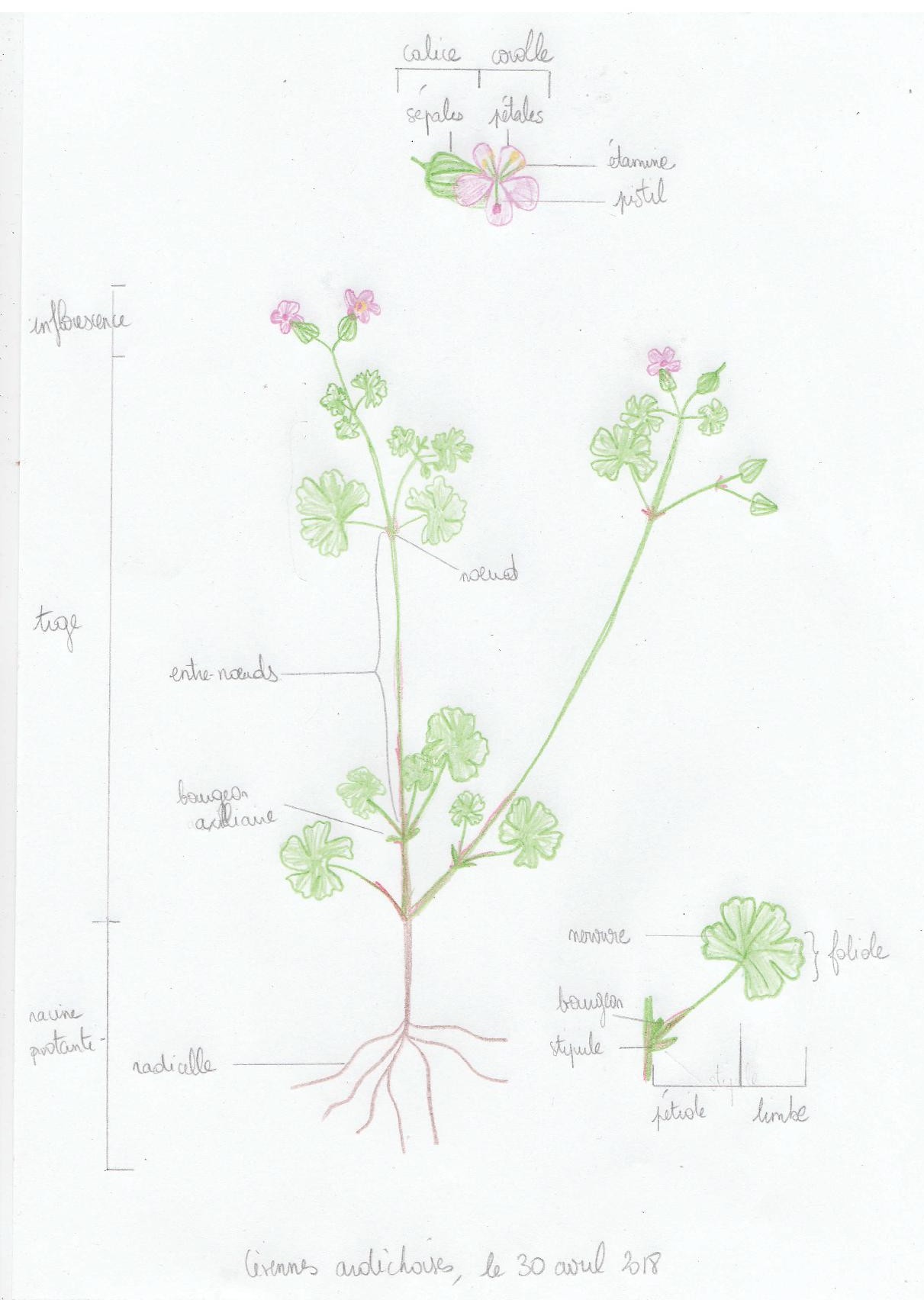 Annexe IMG_20180430_0001.jpg