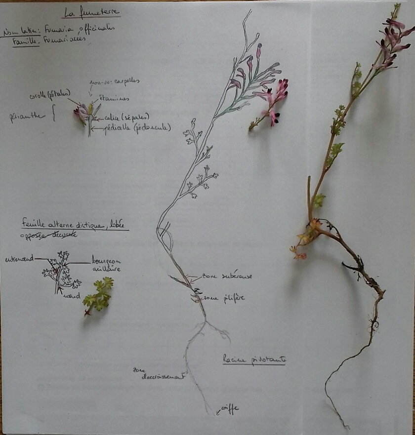 Annexe 20180502_143328-1_resized.jpg