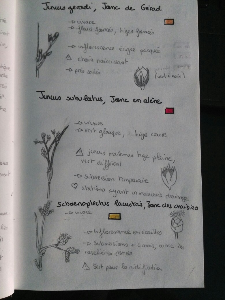 Annexe IMG_20180506_174107.jpg