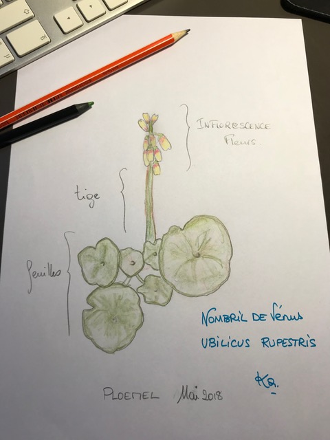 Annexe IMG_9877.jpeg