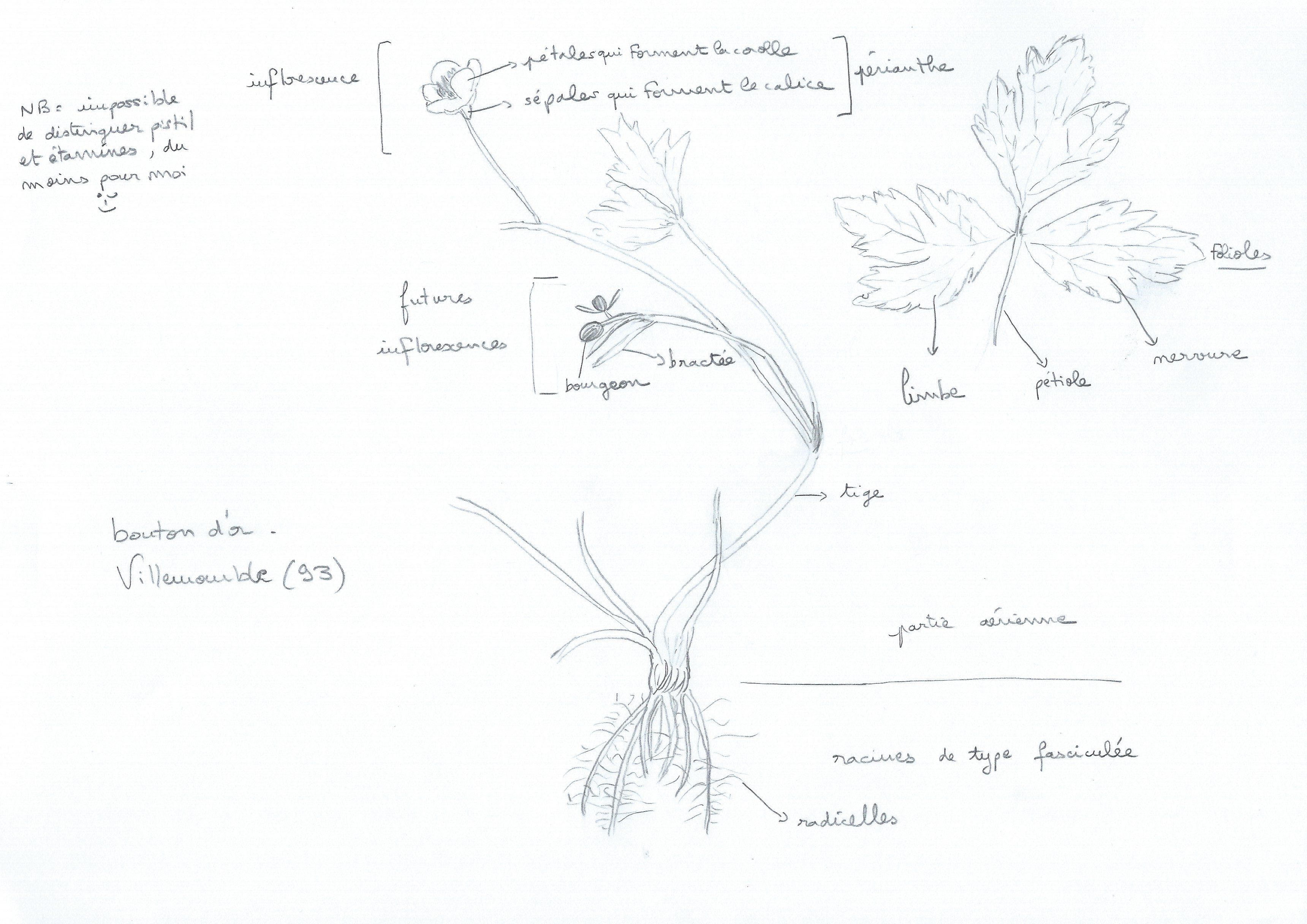 Annexe SCAN0463 - Copie.JPG