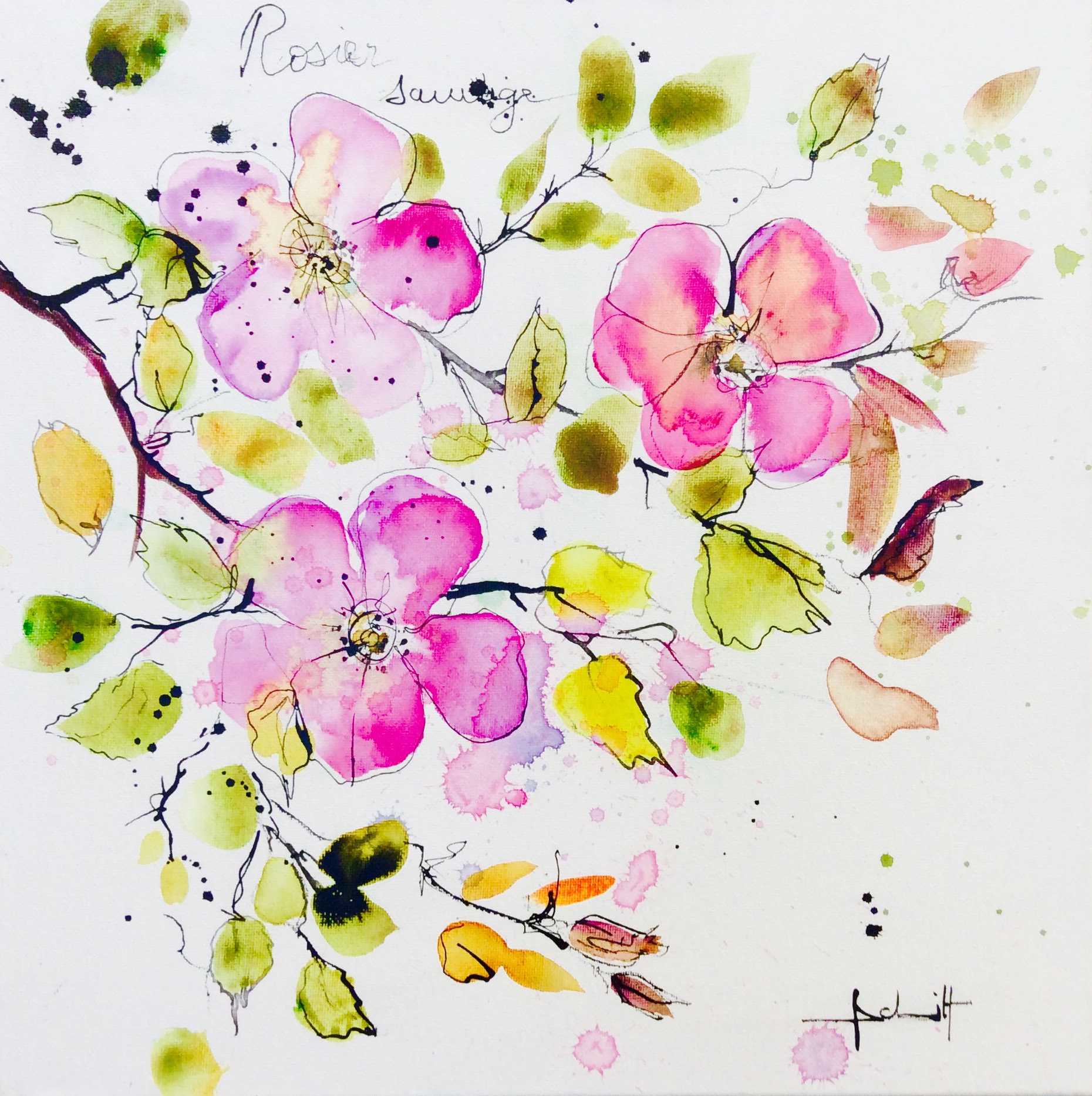 Annexe Eglantier sauvage.jpeg