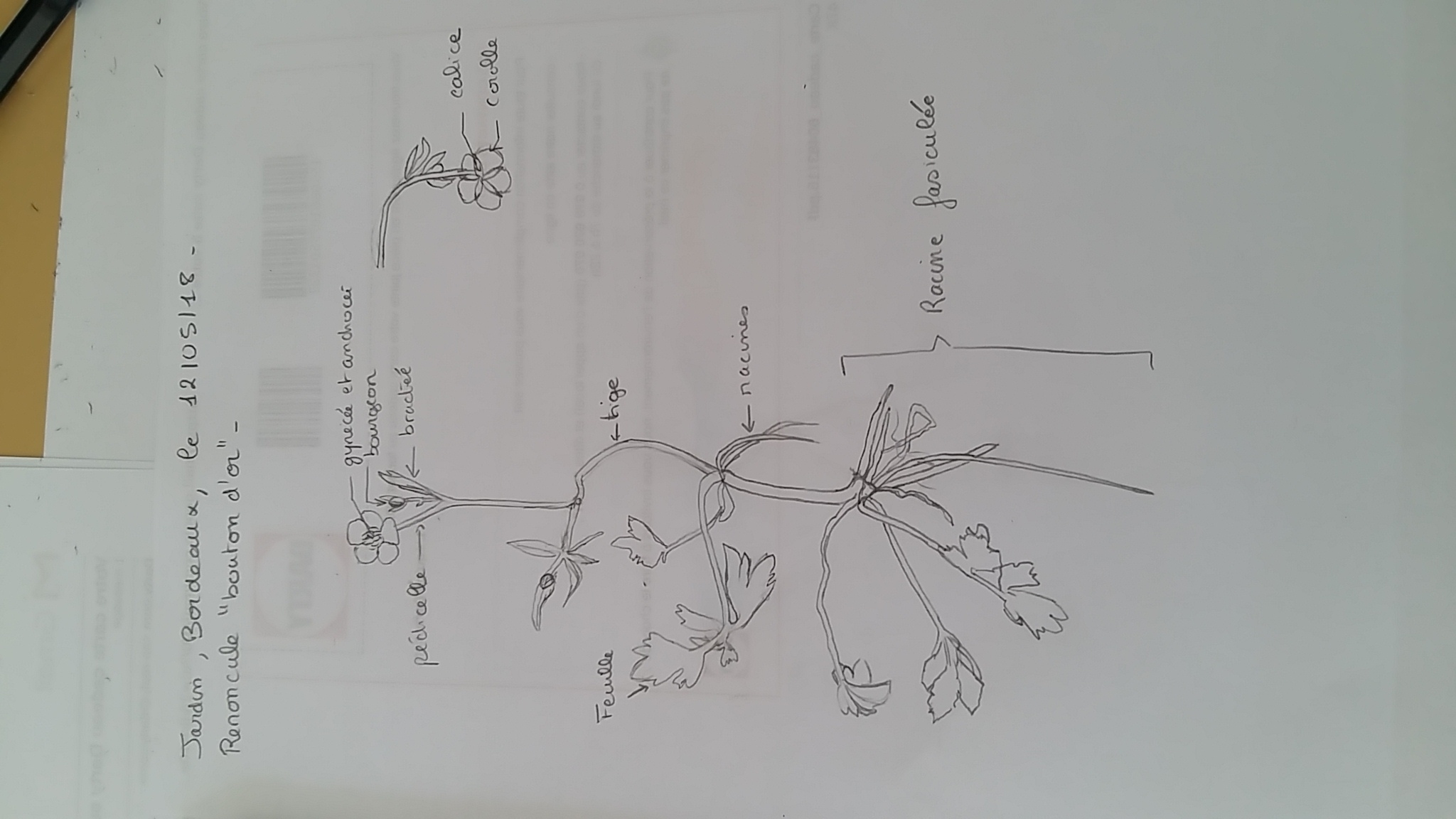 Annexe 1526224178322-648624554.jpg