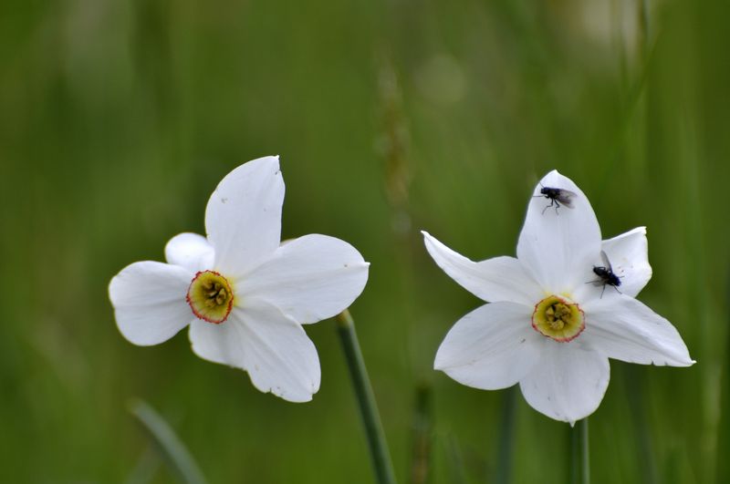 Annexe _DSC1516-800px.jpg