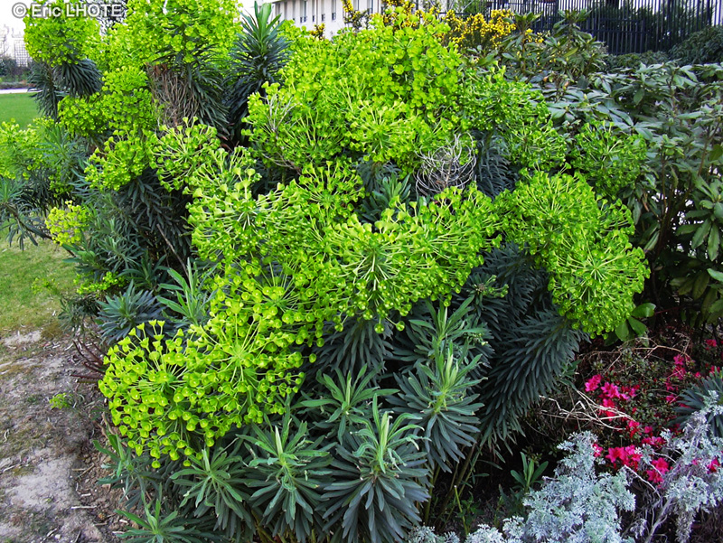 Annexe fvgdntbfbg.jpg