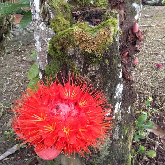 Annexe IMG_4725 (1).jpg