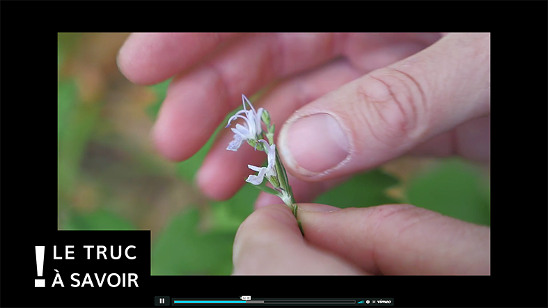 Annexe Capture d’écran 2018-04-05 à 15.43.37.png