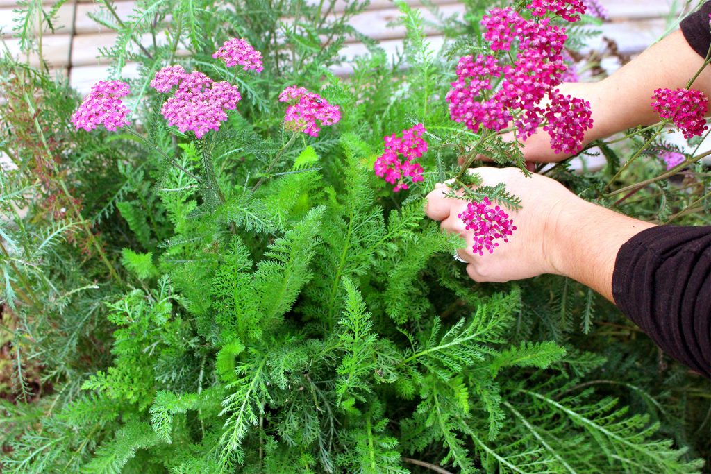 Annexe accueil-1-1024x683.jpg