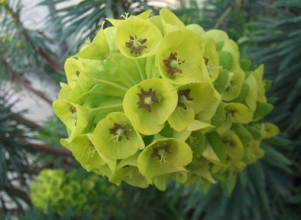 Annexe img-000300287L.jpg