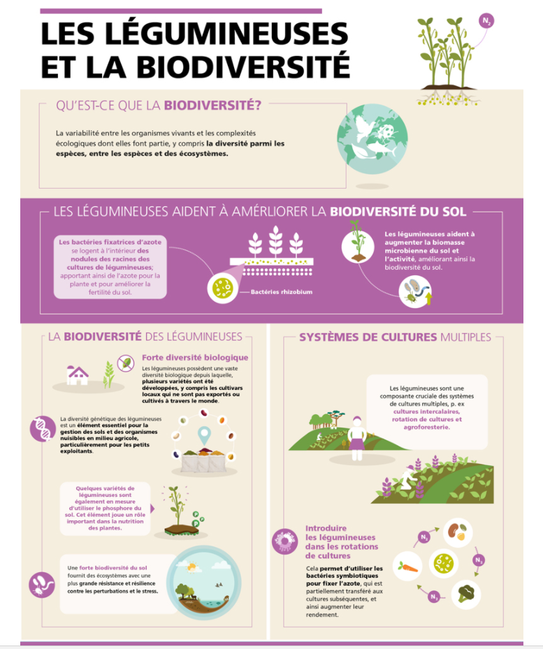 légumineuses et la biodiversité