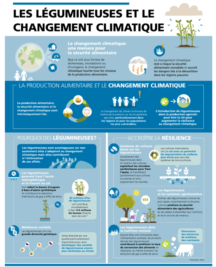 légumineuses et changement climatique