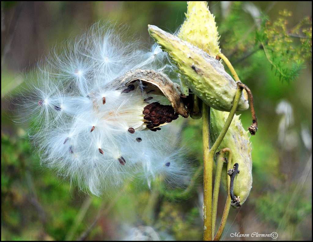 Annexe 8092251100_9cbfbeba7a_b.jpg