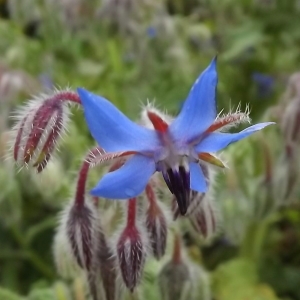 Annexe img_000308597CRS.jpg