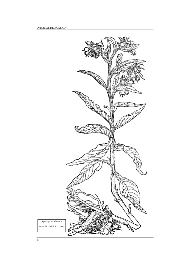 Annexe de-materia-medica-of-dioscorides-1013-pages-11-638.jpg