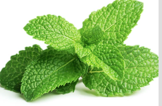 Annexe Capture d’écran 2018-04-04 à 17.53.43.png