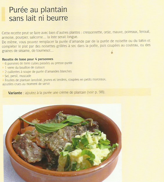 Annexe recette puree plantain.jpg