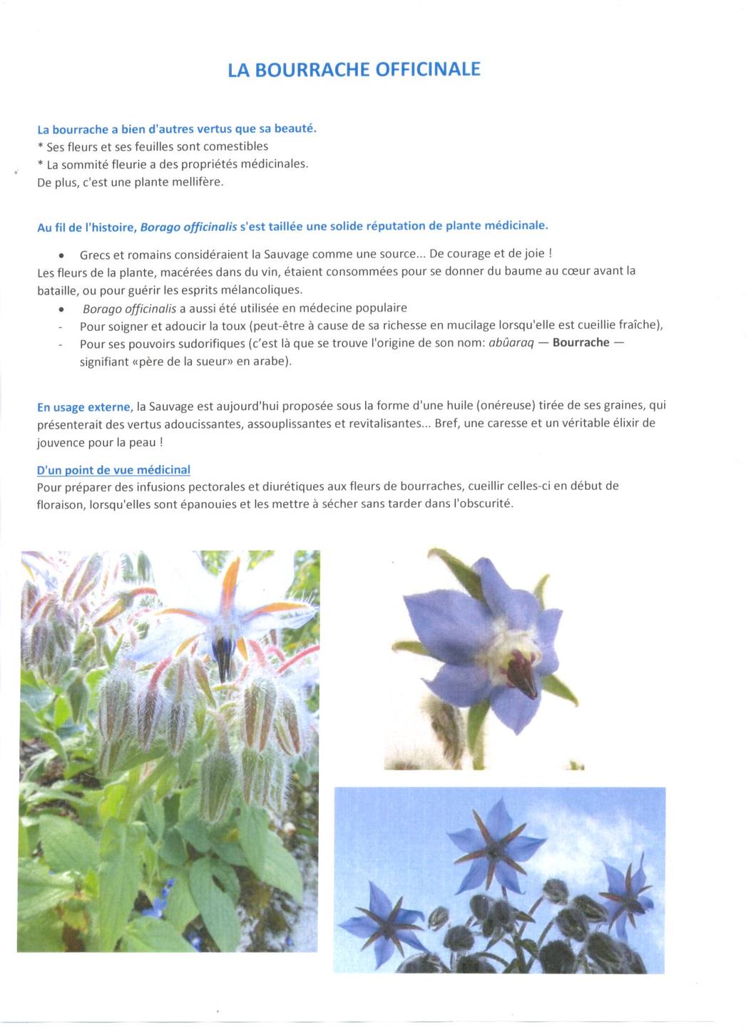 Annexe Activité Séq2-d.jpg