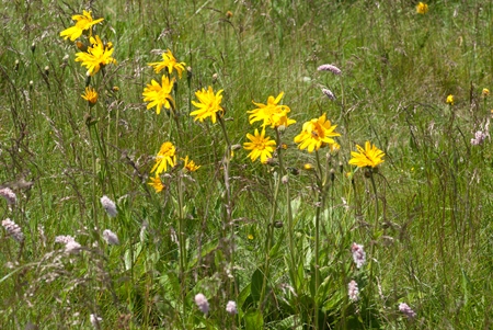 Annexe img_000051818O[1].jpg