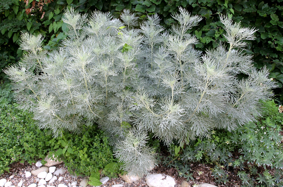 Annexe 2pb1orxh4dus0wkg444wk4448-source-11725431.jpg