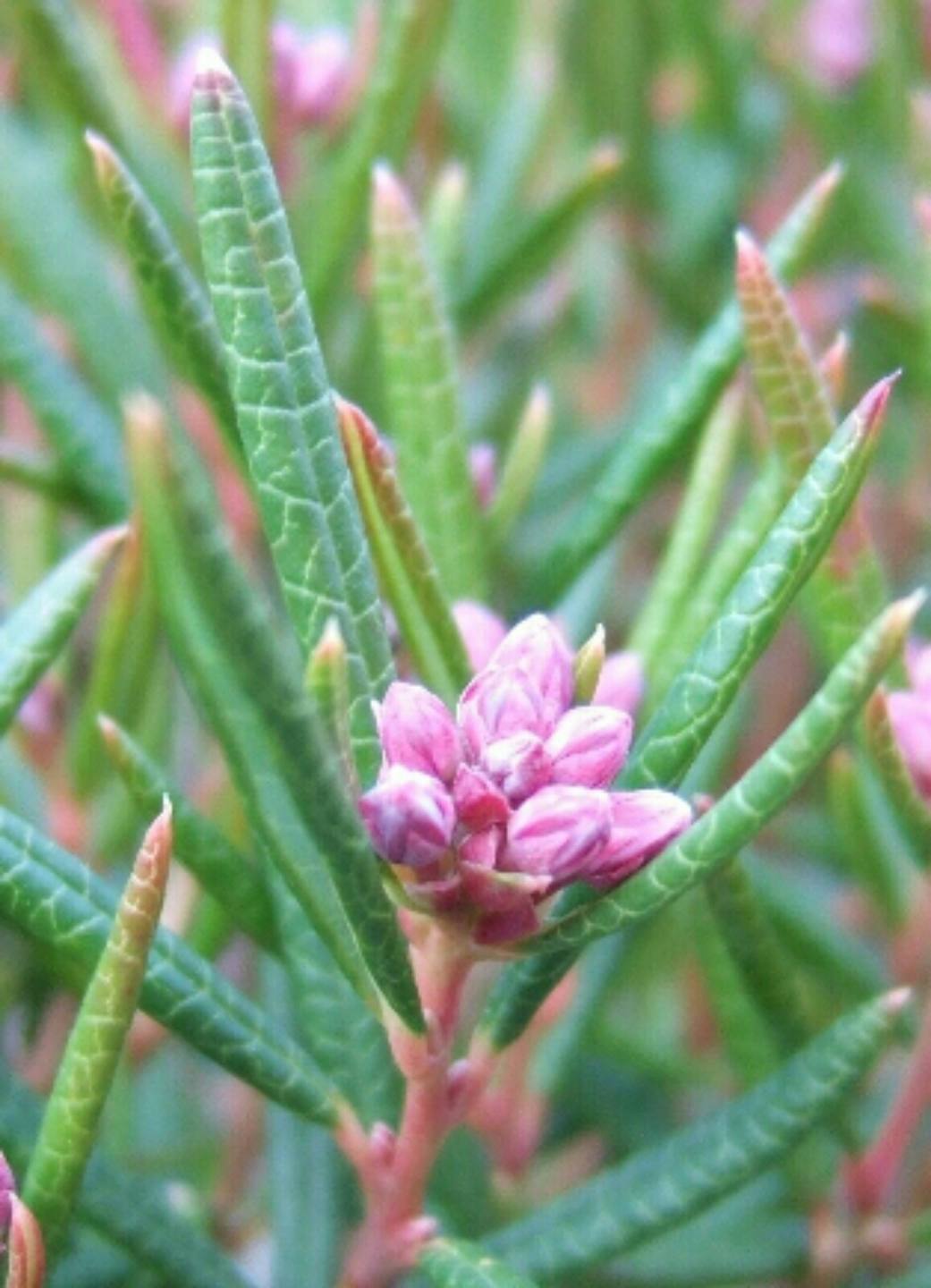 Annexe Screenshot_2018-04-10-11-15-39.jpg