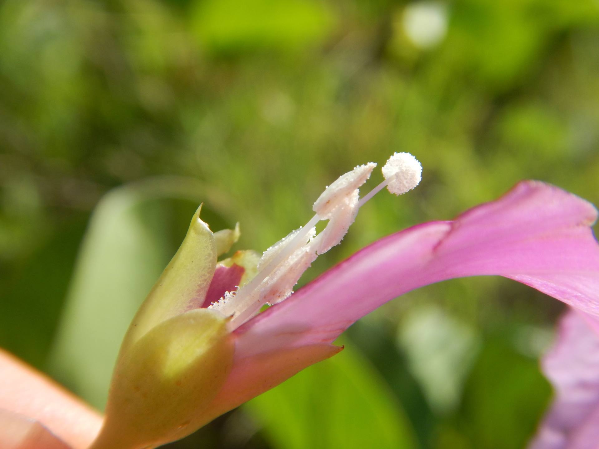 Annexe DSCN7512bis.jpg