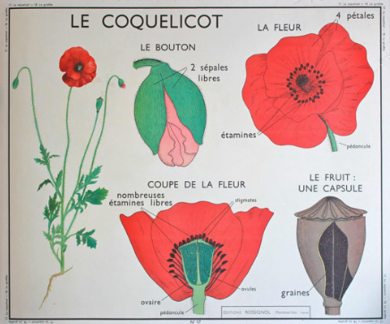 Annexe Capture d’écran 2018-04-16 à 15.21.30.png