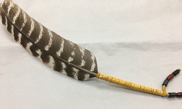 Plume de fumigation (outarde)