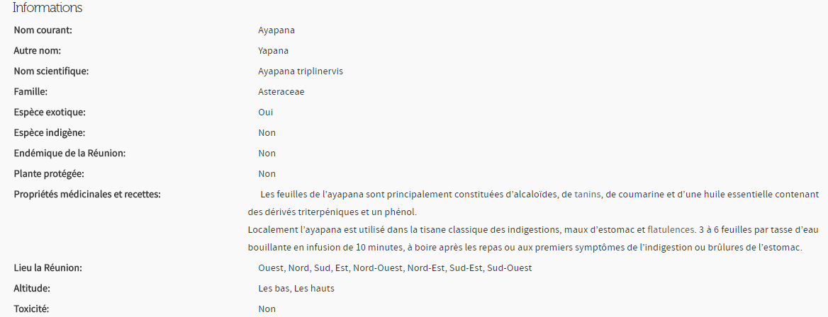 Ayapana triplinervis
