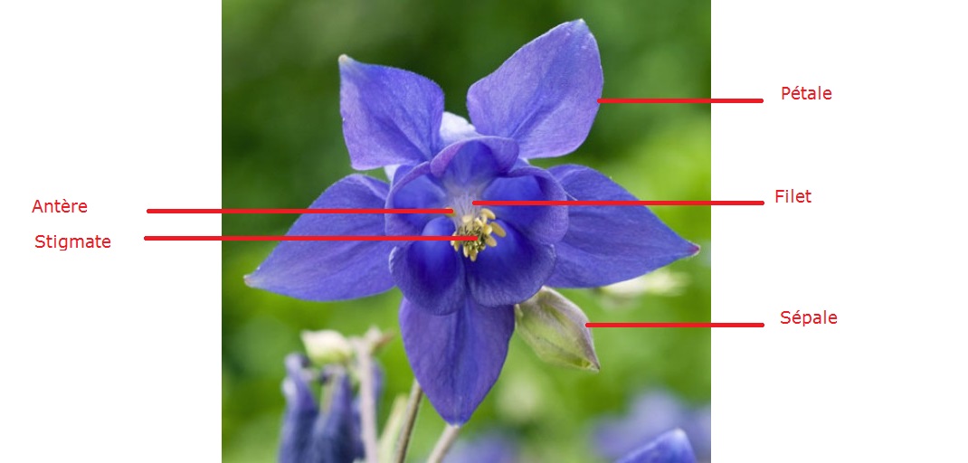 Annexe ch100516-038-1-l750-h512.jpg