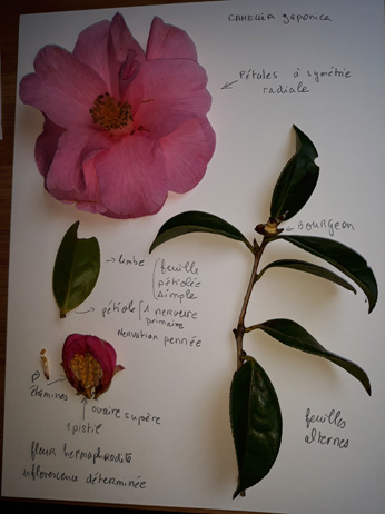 Annexe 20180409_174059.jpg