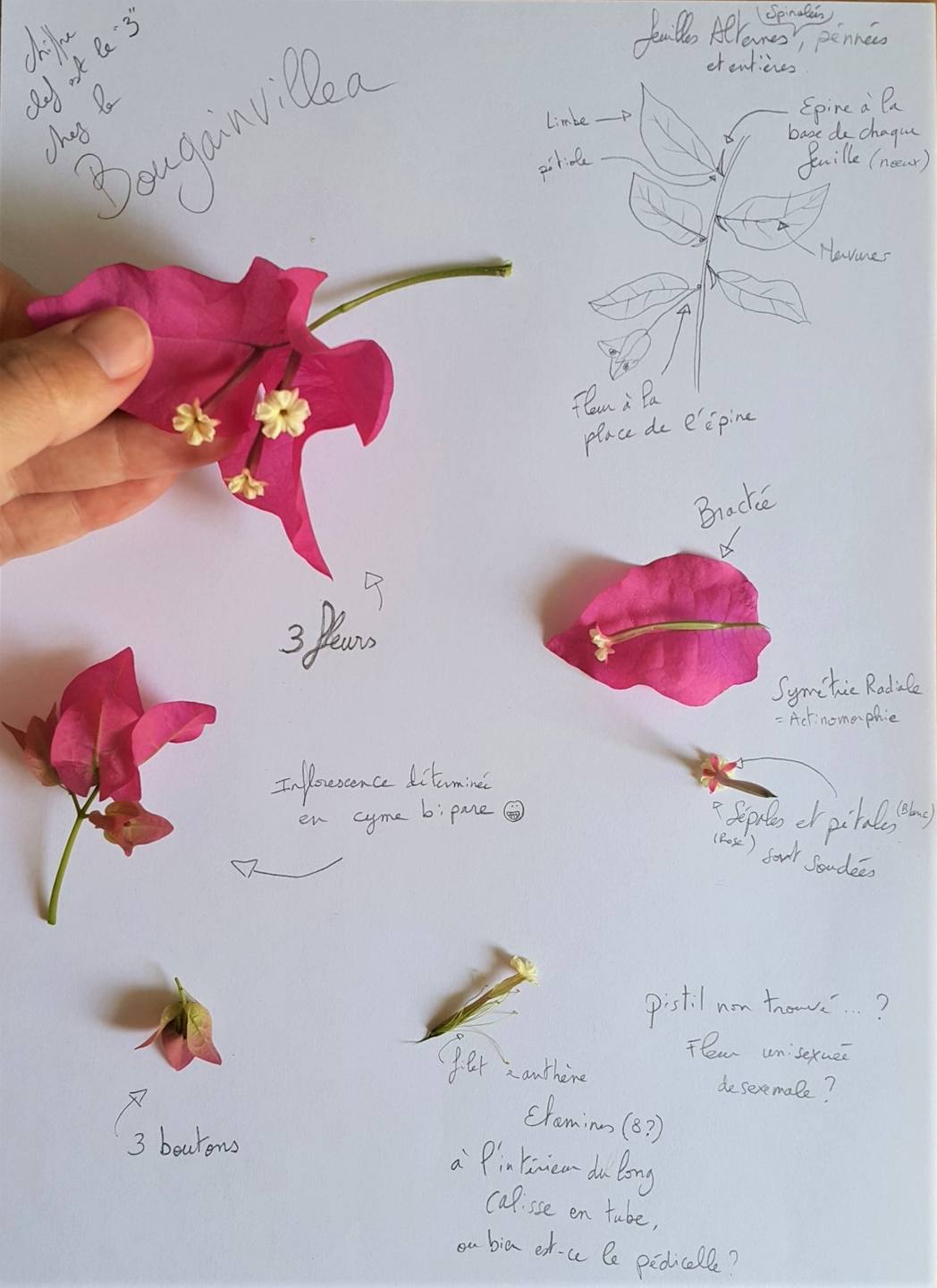 Annexe 2018-04-10 09.14.15.jpg