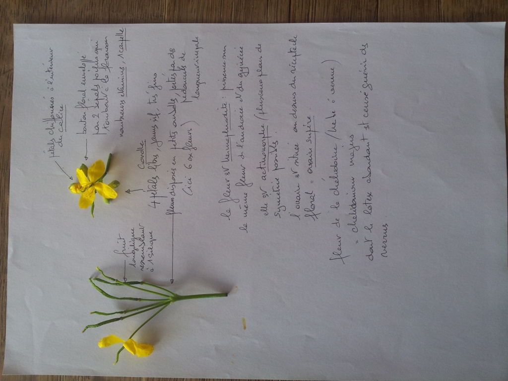 Annexe 20180410_101357.jpg