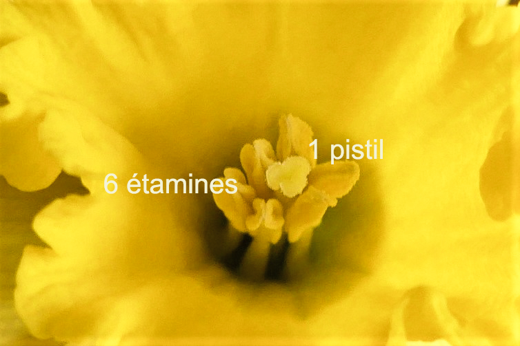 Annexe Gynécée.JPG