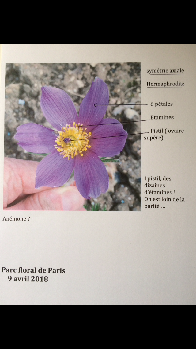 Annexe IMG_8953 2.png