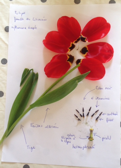 Annexe FullSizeRender.jpg