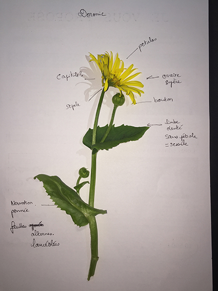 Annexe IMG_8057 (1).JPG