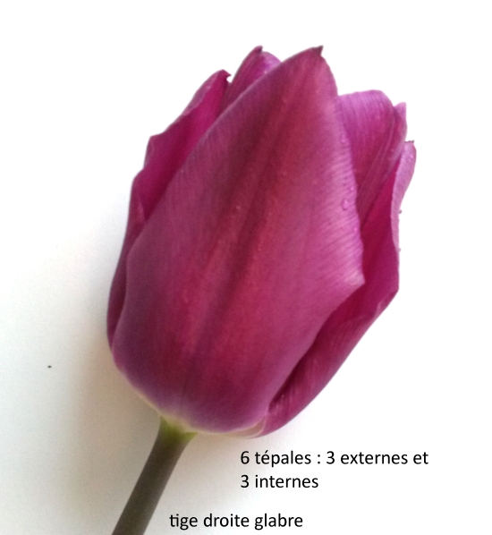 Annexe IMG_20180412_162727.jpg