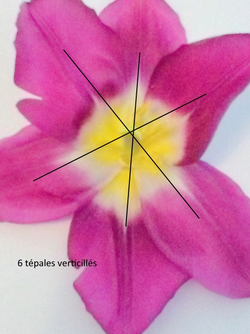 Annexe IMG_20180412_163320.jpg