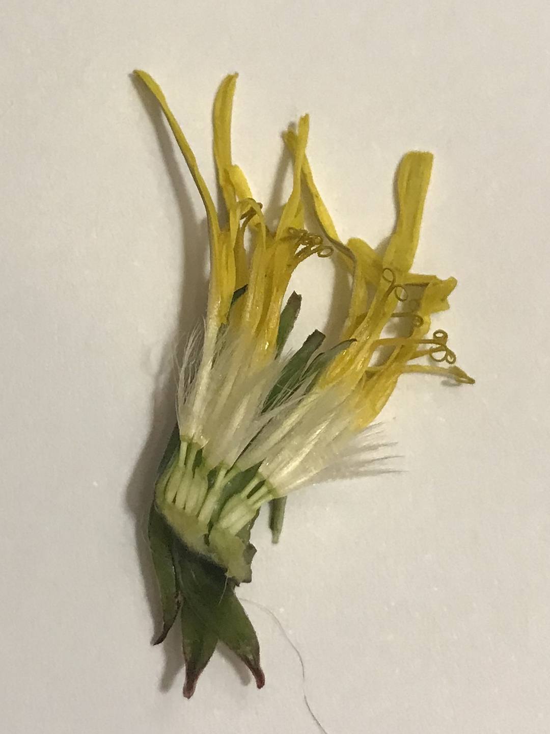 Annexe 4029EAC3-6702-473D-A83B-F5B30DAB0482.jpeg