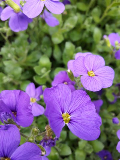 Annexe 20180412_171745.jpg