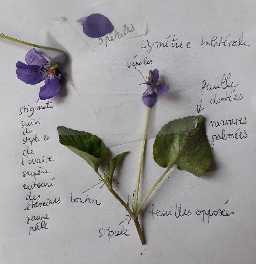 Annexe 20180413_155434.jpg