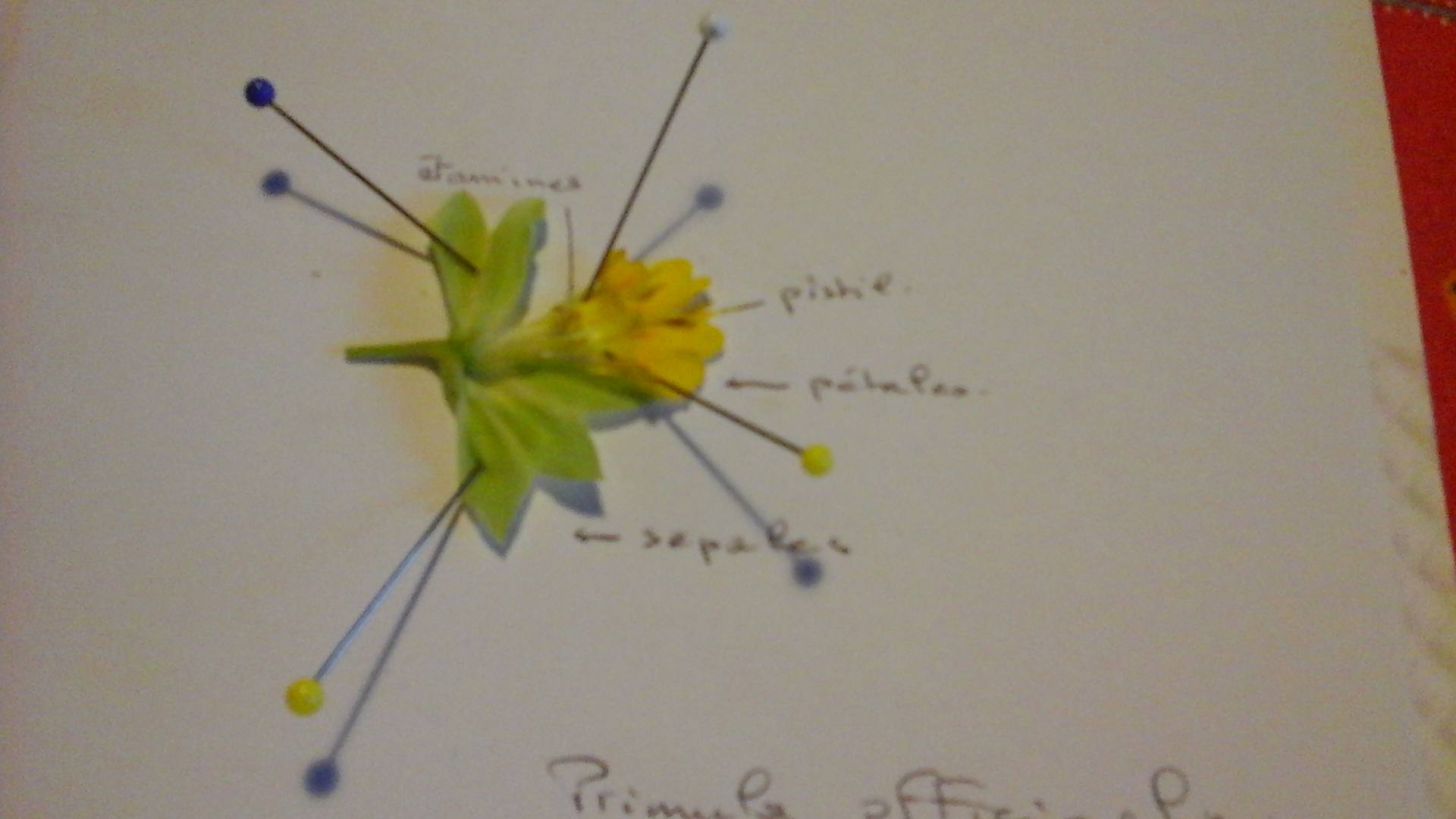 Annexe 1523684183697-1438602276.jpg