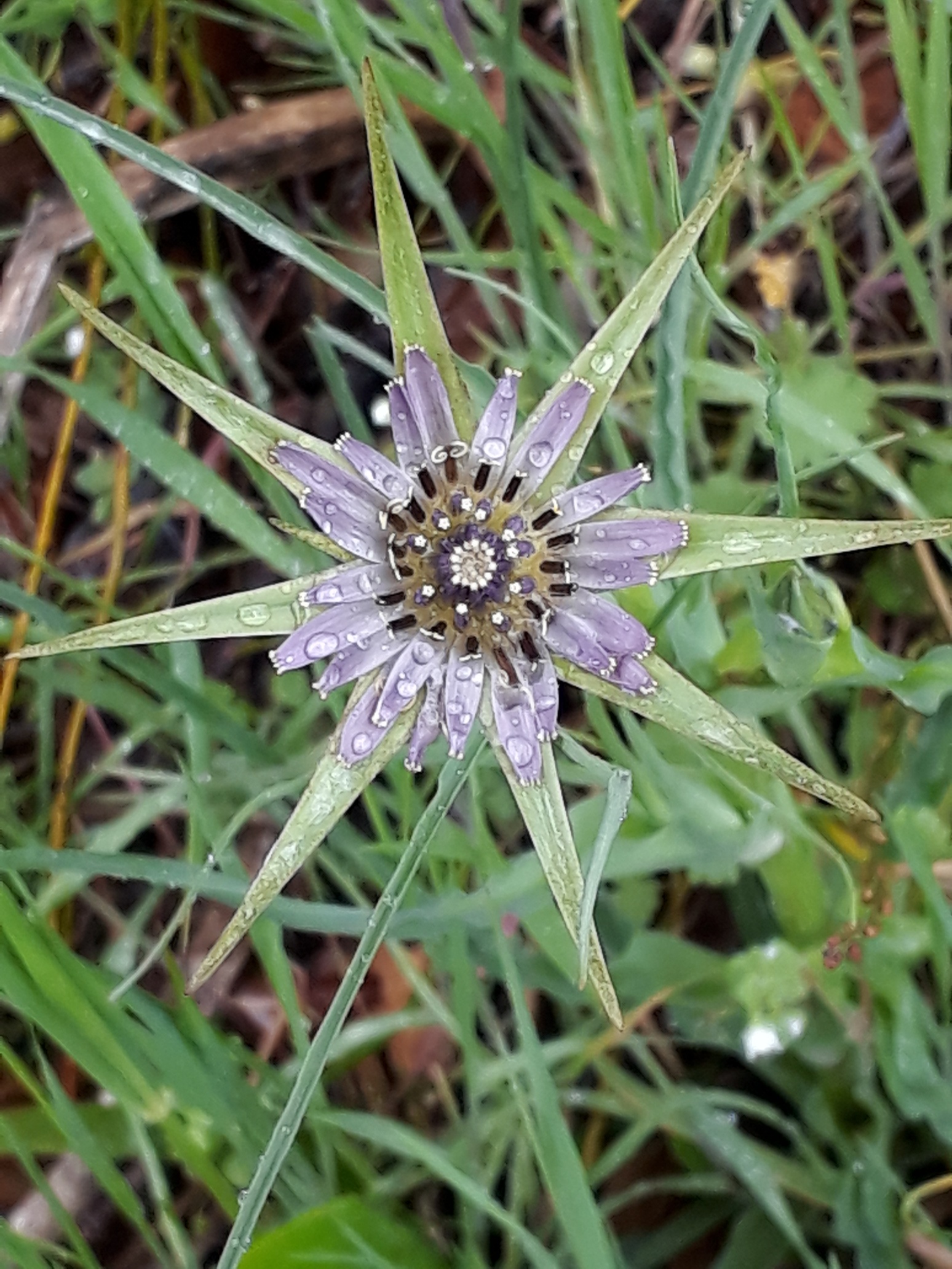 Annexe 20180413_145021_resized.jpg