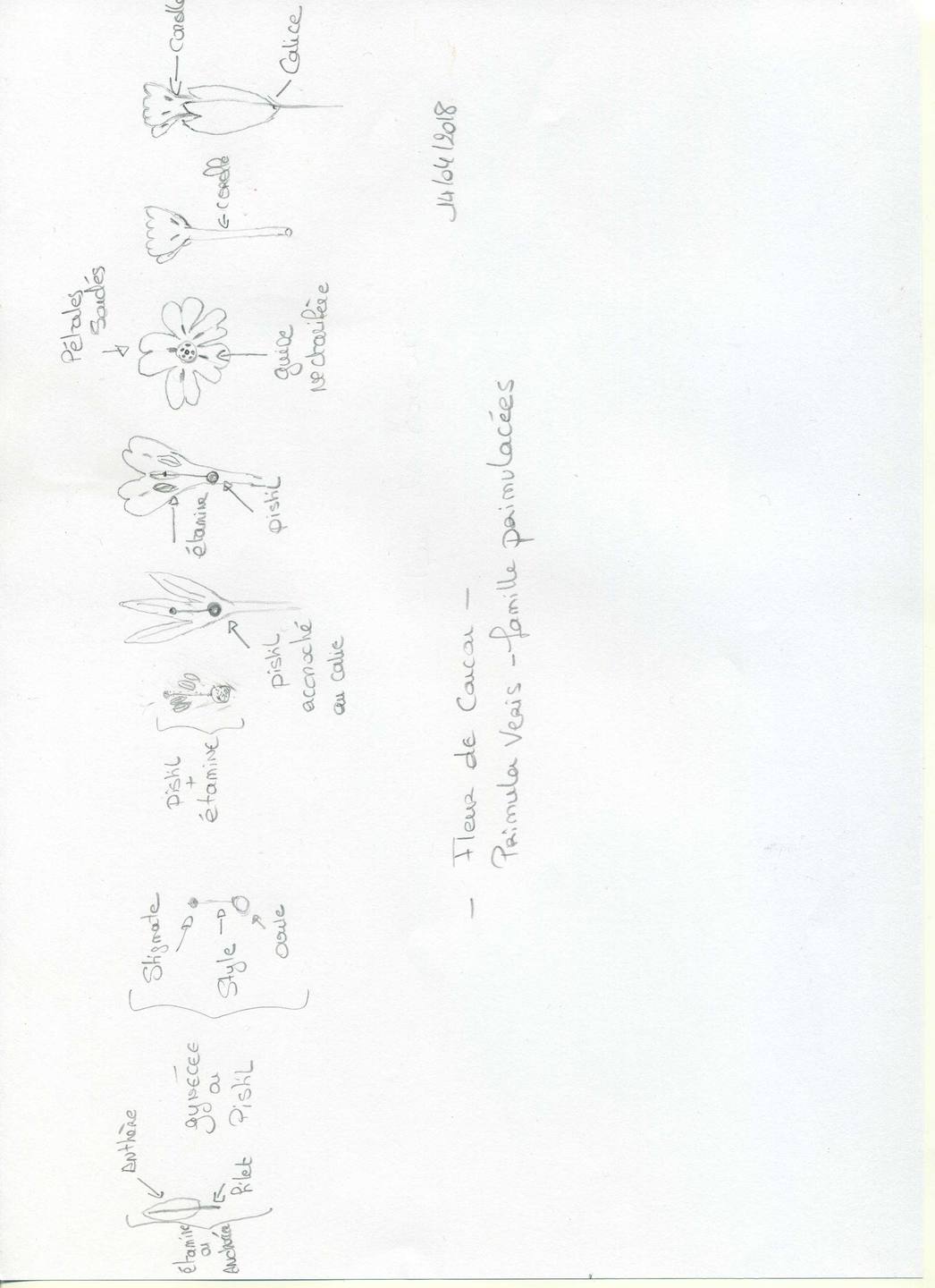 Annexe coucou002.jpg