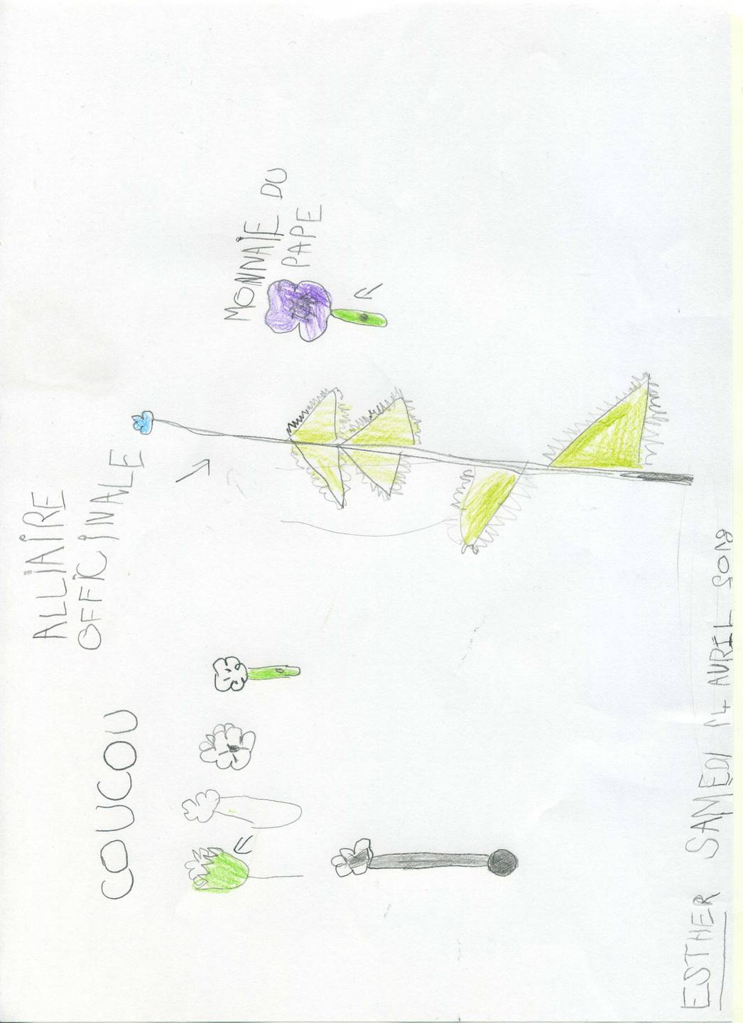 Annexe esther001.jpg